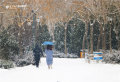 ѩڹ@С·һɷ󱊾W(wng)ݡ(bo) ӛ wP zӰ(bo)