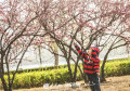 ůůĴL(fng)ӭ洵_(ki)գuD(zhun)ůǃ(ni)ʢ_(ki)˲ǰ(li)^p󱊾W(wng)ӛ wP zӰ(bo)